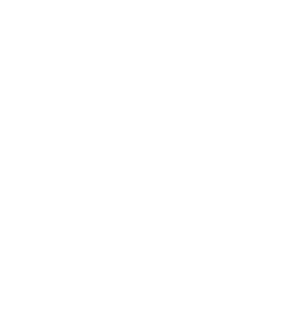 Ticketoise Logo